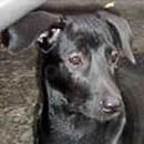 Jon Jon was adopted in November, 2005